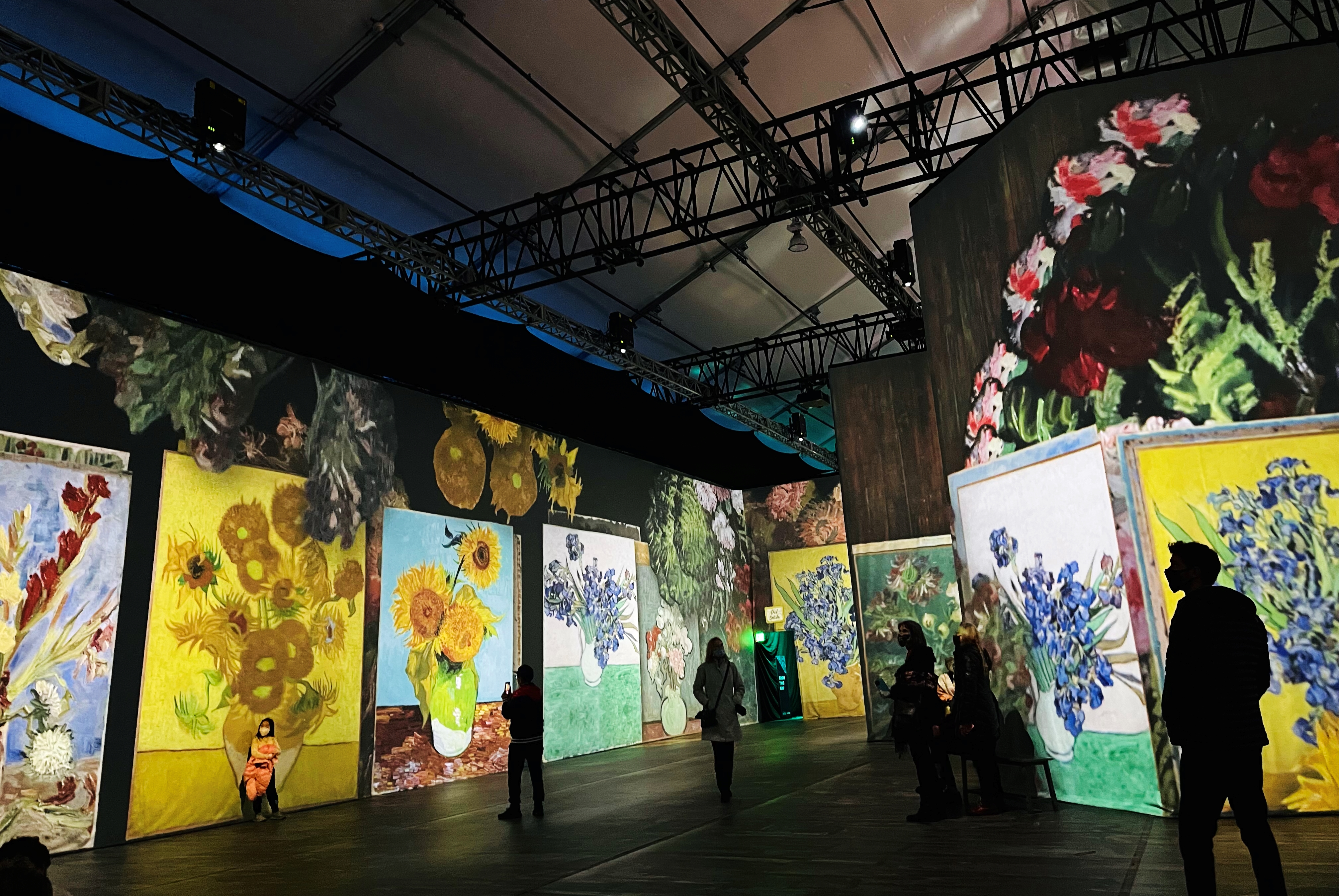 Stepping Into Beyond Van Gogh